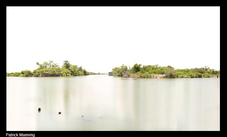 Proportional_227_manning_05.large.bb