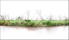 Proportional_227_manning