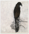Proportional_68_sw11229raven_copy_2