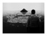 Proportional_68_shah