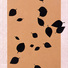 Cropped_68_bc-n-5-ppr