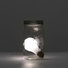 Proportional_68_johnson11