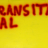 Cropped_68_transitional-web