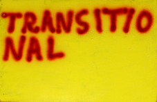 Proportional_227_transitional-web