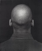 Proportional_227_ligon2