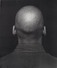 Proportional_68_ligon2