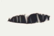 Proportional_227_gabriele_chiari_2