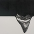 Cropped_68_yuval_pudik