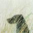 Cropped_68_edward_ruscha