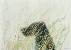 Proportional_227_edward_ruscha