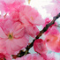 Cropped_68_d519010e05