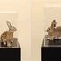 Cropped_68_tarynsimonhay-bunniestatemodern