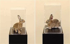 Proportional_227_tarynsimonhay-bunniestatemodern