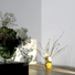 Cropped_68_23570w_reto_mg_2180