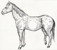 Proportional_227_fe7450c611