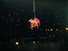 Proportional_68_air_plant_site2