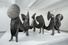 Proportional_68_nc11040lr-0cd11091163cafa8e1dd7e
