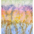 Cropped_68_dsc_025b