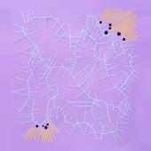Proportional_227_9e00bc9503