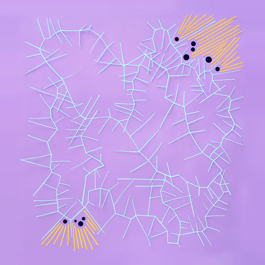 Proportional_710_9e00bc9503