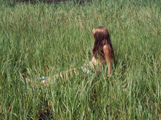 Proportional_227_brittany