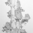 Cropped_68_7783e7b471