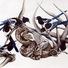 Cropped_68_toungueofwisdom