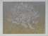 Proportional_68_warhol_kiku