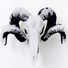 Cropped_68_ram