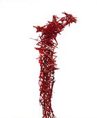 Proportional_227_crucifixion-_side_