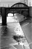Proportional_227_securedownload-2