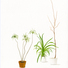 Cropped_68_db81b8865e