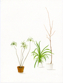 Proportional_227_db81b8865e