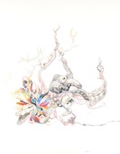 Proportional_227_lb_pet_20x16