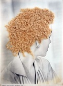 Proportional_227_1_national_beauty_series