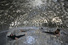 Proportional_68_saraceno