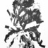 Cropped_68_jpf1101x_untitled