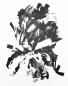 Proportional_227_jpf1101x_untitled