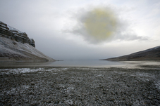 Proportional_227_johnson_arctic_01