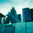 Cropped_68_picture_6