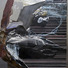 Cropped_68_ls.facek_hg11138