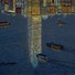Cropped_68_sharks_jacquette