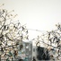 Cropped_68_seedless