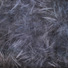 Cropped_68_7328b9334e