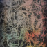 Cropped_68_24e54e04a5