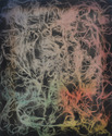 Proportional_167_24e54e04a5