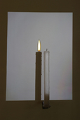 Proportional_227_04662-00