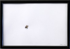 Proportional_227_02764