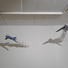 Cropped_68_03236-0