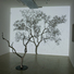 Cropped_68_rousseau_04